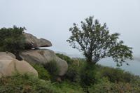 Tag 8 Wanderung von Trégastel nach Ploumenac´h 