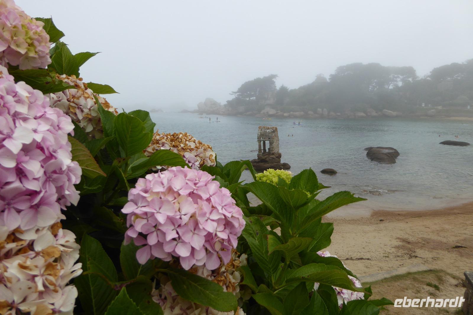 Tag 8 Wanderung von Trégastel nach Ploumenac´h 