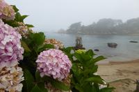 Tag 8 Wanderung von Trégastel nach Ploumenac´h 