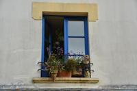 Sinn für Blumenschmuck