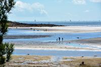 Küste am Golf von Morbihan