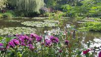 Giverny, Garten von Claude Monet, Wassergarten