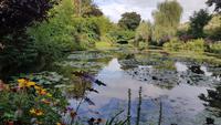 Giverny, Garten von Claude Monet, Wassergarten