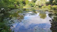 Giverny, Garten von Claude Monet, Wassergarten