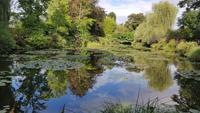 Giverny, Garten von Claude Monet, Wassergarten