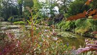 Giverny, Garten von Claude Monet, Wassergarten
