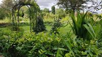 Giverny, Garten von Claude Monet, Hausgarten