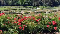 Caen, Parc Floral de la Colline aux Oiseaux