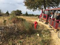 IMG 3705, Ardèche, Lavendel & Grotte