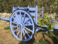 IMG 3715, Ardèche, Lavendel & Grotte