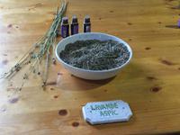 IMG 3722, Ardèche, Lavendel & Grotte