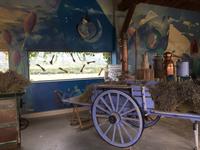 IMG 3731, Ardèche, Lavendel & Grotte