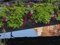 IMG 3945, Straßburg