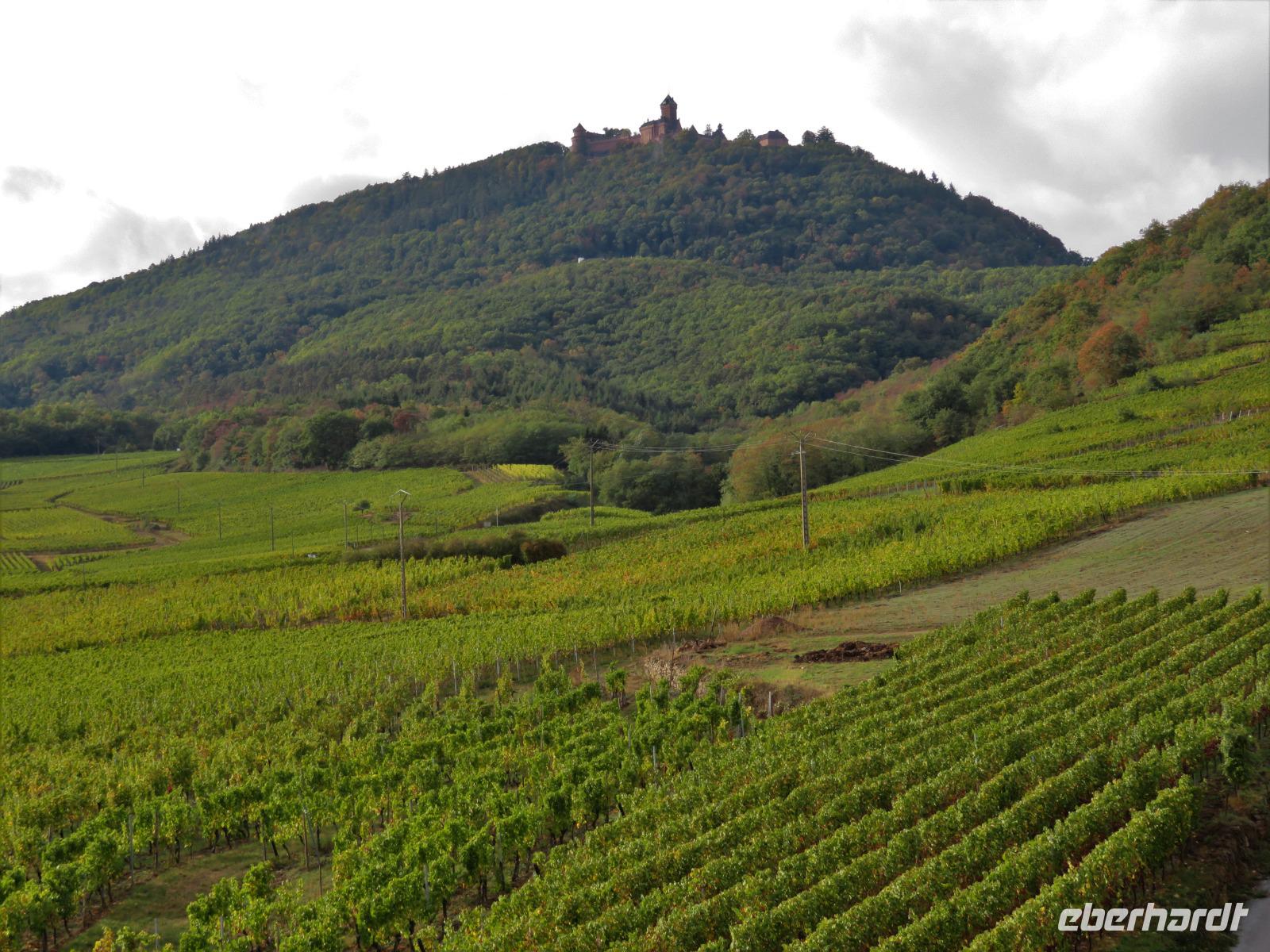 Elsass 09.2020  Blick aus dem Fenster des Hotels auf die Hohkönigsburg