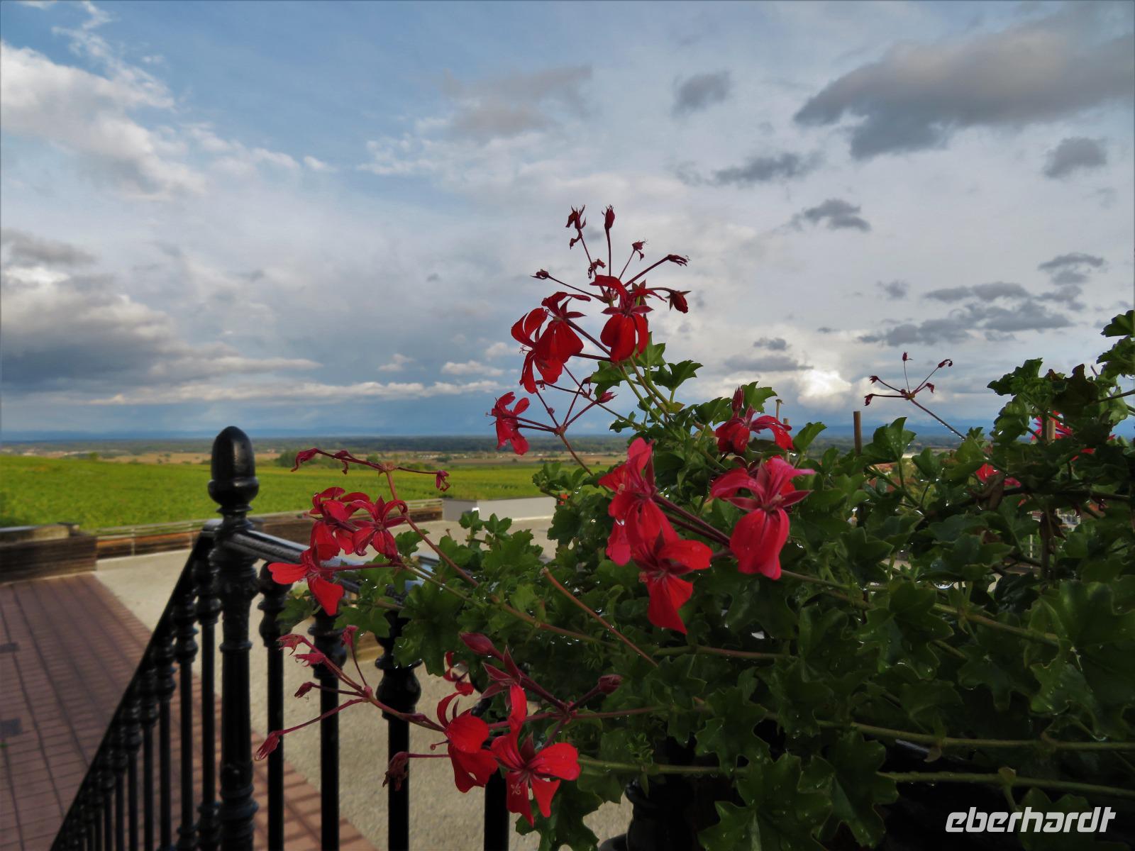 Elsass 09.2020  Val Vignes