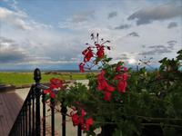 Elsass 09.2020  Val Vignes