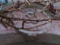 Elsass 09.2020  St. Hippolyte