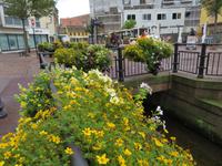 Elsass 09.2020  Colmar