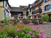 Elsass 09.2020  Eguisheim