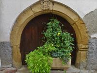 Elsass 09.2020  Eguisheim