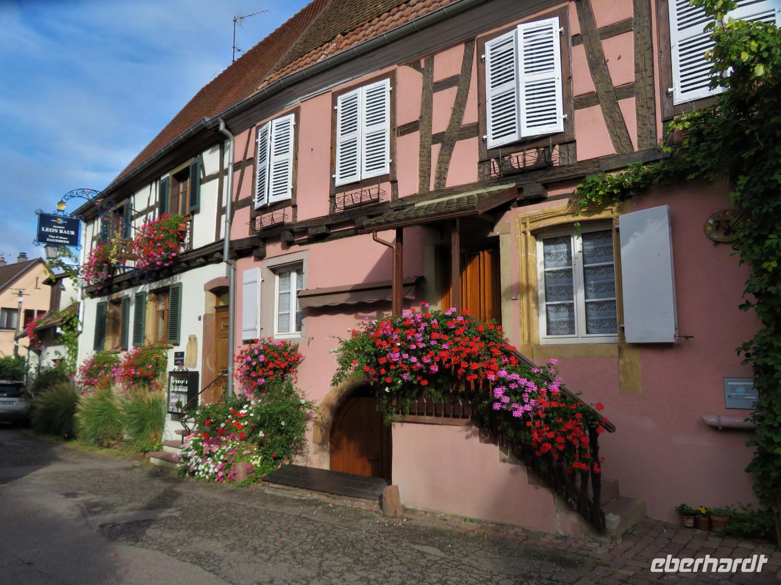 Elsass 09.2020  Eguisheim
