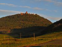 Elsass 09.2020  Hohkönigsburg