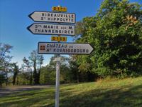 Elsass 09.2020  Wanderung zur Hohkönigsburg