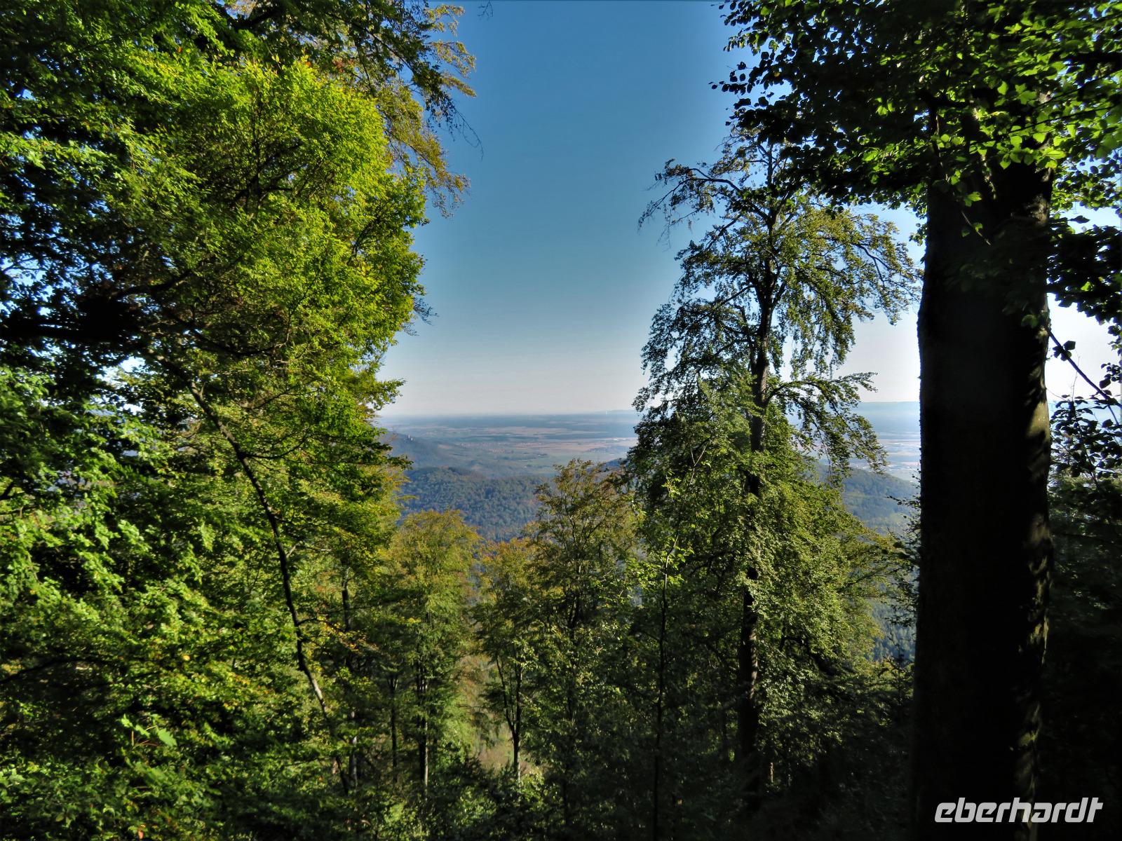 Elsass 09.2020  Wanderung zur Hohkönigsburg