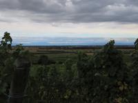 Elsass 09.2020 Dambach- la- Ville