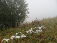 Elsass 09.2020 Vogesenrundfahrt, Am Grand Ballon