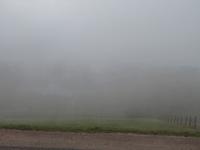 Elsass 09.2020 Vogesenrundfahrt, Ferme Auberge Breizhousen, Ausssicht