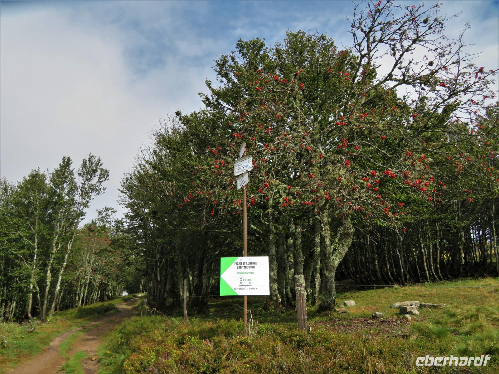 Elsass 09.2020 Vogesenrundfahrt