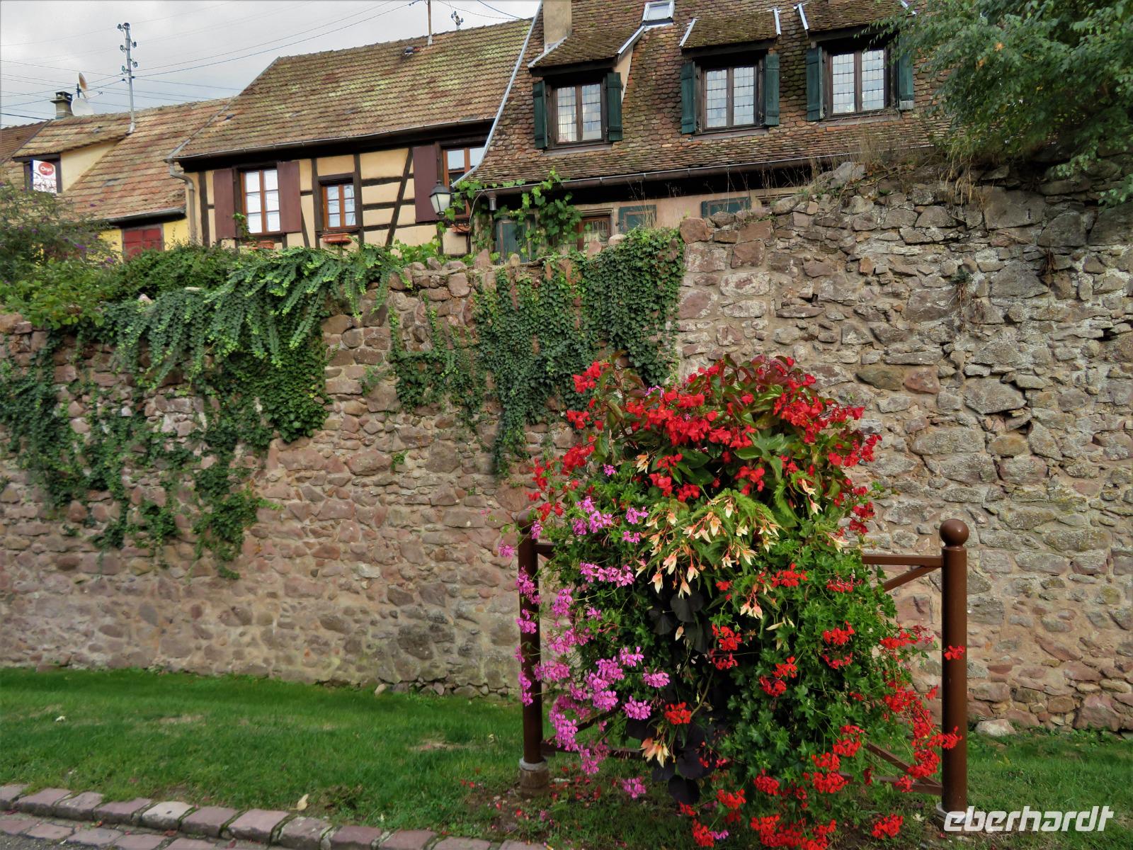 Elsass 09.2020 Riquewihr
