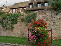 Elsass 09.2020 Riquewihr