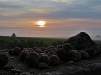 Elsass 09.2020 Sonnenaufgang über der Rheinebene