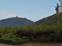 Elsass 09.2020  Hohkönigsburg in der Morgensonne