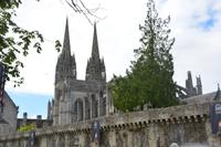 Blick auf die Kathedrale 