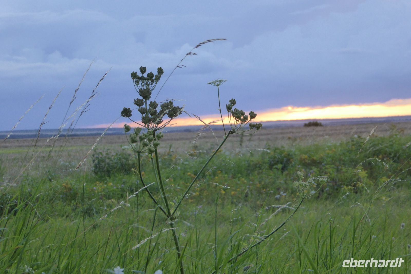 Tag 1 Anreise, Abendstimmung