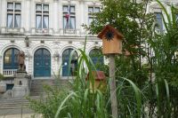 Tag 3 Stadtführung Vannes  