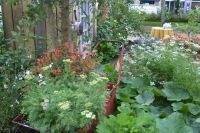 Tag 3 Stadtführung Vannes  