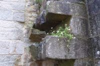 Tag 3 Stadtführung Vannes  