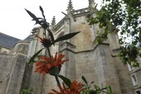 Tag 3 Stadtführung Vannes  