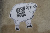 Tag 3 Stadtführung Vannes