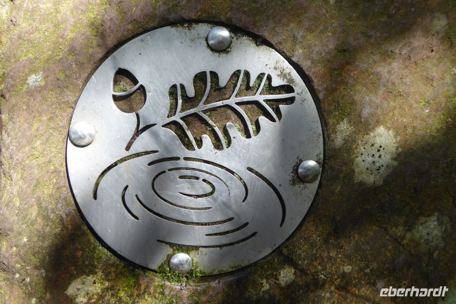 Tag 3 Wanderung im Wald von Brocéliande