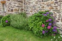 Tag 3 Wanderung im Wald von Brocéliande 