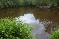 Tag 3 Wanderung im Wald von Brocéliande 