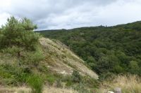Tag 3 Wanderung im Wald von Brocéliande 
