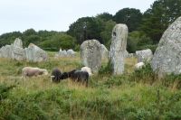 Tag 4 Wanderung Carnac