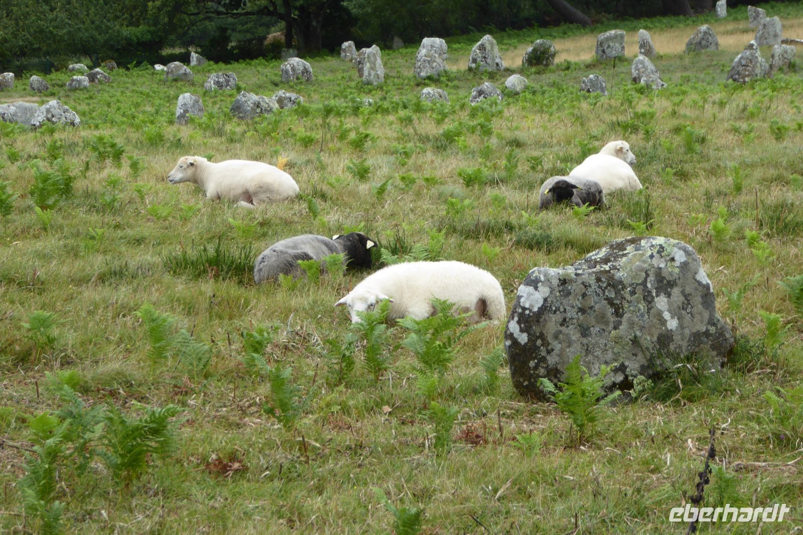 Tag 4 Wanderung Carnac 