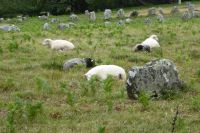 Tag 4 Wanderung Carnac 